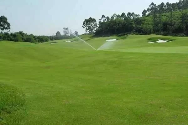 Lawn