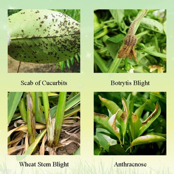 Pyrimethanil Pyrimethanil