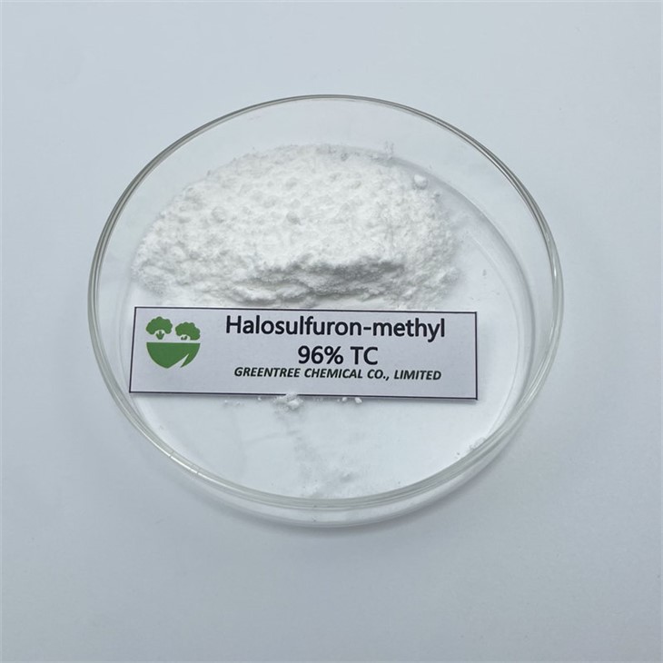 CAS 100784-20-1 Halosulfuron-methyl 96% TC Technical Powder Herbicide