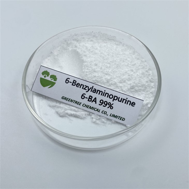 6-Benzylaminopurine 6-BAP 99% هورمون گیاهی که مجموعه میوه ها را افزایش می دهد