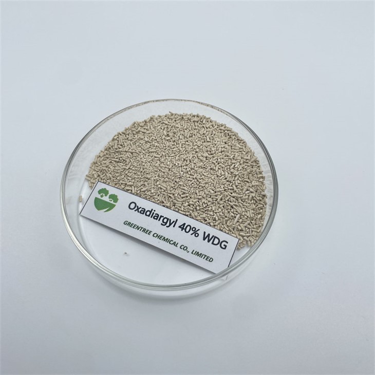 Oxadiargyl 40% WDG Granules Rice Field Herbicide