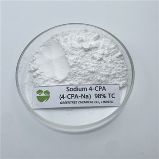 CAS NO. 13730-98-8 4-نمک سدیم کلروفنوکسی استیک اسید. 4-CPA-NA 98 درصد محلول در آب