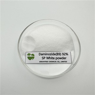 CAS NO. 1596-84-5 کنترل رشد بیش از حد گیاهی هورمون DAMINOZIDE (B9) PGR 92 درصد 99 درصد