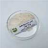 آیا میتوان از NAA برای افزایش تعداد شاخهها در گیاهان استفاده کرد؟