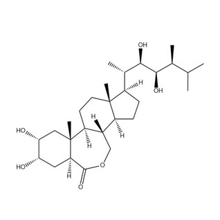 24-epiBrassinolide 24-epiBrassinolide